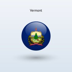 State of Vermont Flag N2