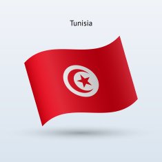 Tunisia Flag N13