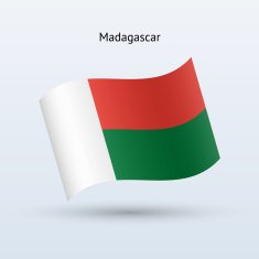 Madagascar Flag N9