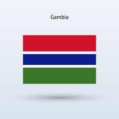 Gambia flag N8