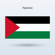 palestine flag N8