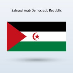 Sahrawi Arab Democratic Republic Flag N3