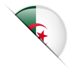 Algeria Flag Glossy Button Hidden N2