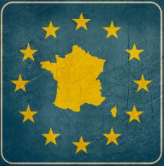 Grunge France European button
