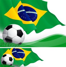 Brazilian soccer N9