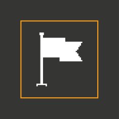 Simple stylish pixel icon flag Vector design N7