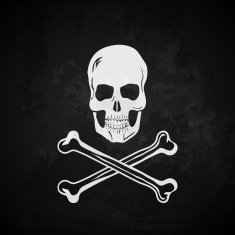 Pirate flag Skull with crossed bones free image download