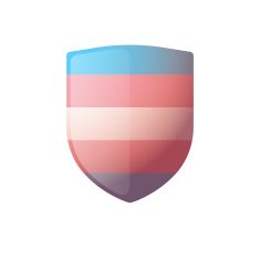 shield with a transgender pride flag
