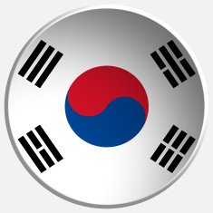 South Korea 3d Round Button N2