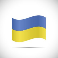 Ukraine Flag Illustration N2