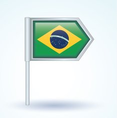 Flag of Brazil vector illustration N3