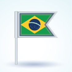 Flag of Brazil vector illustration N4