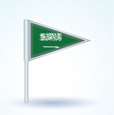 Flag of Saudi Arabia vector illustration N10