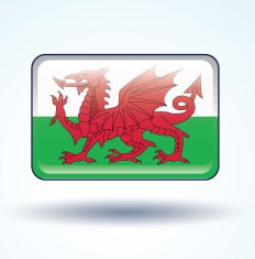 Flag of Wales vector illustration N10
