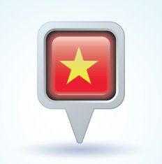 Flag of Vietnam vector illustration N12