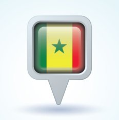 Flag of Senegal vector illustration N10