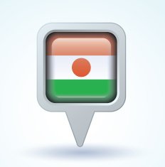 Flag of Republic niger vector illustration N9