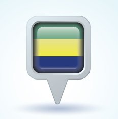 Flag of Gabon vector illustration N11