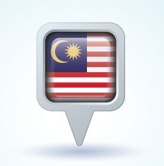 Flag of Malaysia vector illustration N8