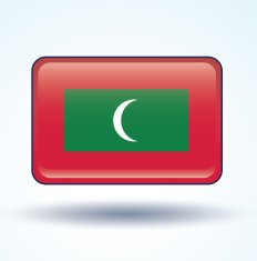 Flag of Maldives vector illustration N11