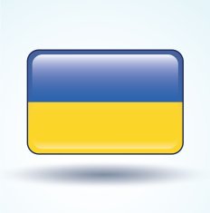 Flag of ukrain vector illustration N6