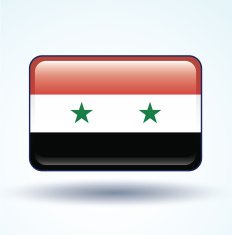Flag of United Arab Republic vector illustration N7