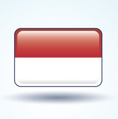 Flag of Indonesia vector illustration N10