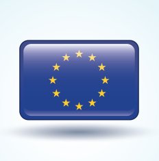 Flag of European union vector illustration N8