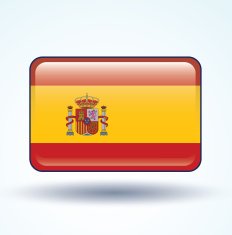 flag of Spain vector illustration N5
