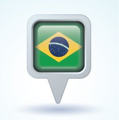 Flag of Brazil vector illustration N6