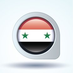 Flag of United Arab Republic vector illustration N8