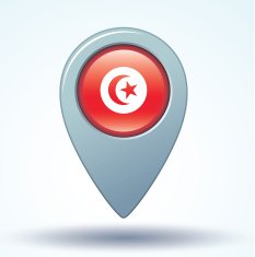 Flag of Tunisia vector illustration N11