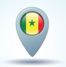 Flag of Senegal vector illustration N11