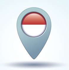 Flag of Indonesia vector illustration N11