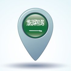 Flag of Saudi Arabia vector illustration N11