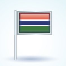 Flag of Gambia vector illustration N11