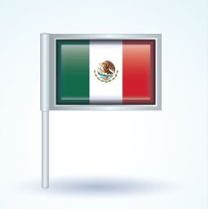 Flag of Mexico vector illustration N9