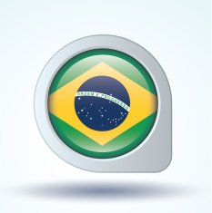 Flag of Brazil vector illustration N8