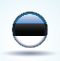 Flag of Estonia vector illustration N11