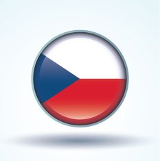 Flag of Czech republic vector illustration N11