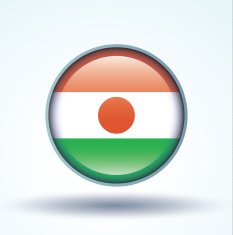 Flag of Republic niger vector illustration N10