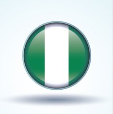 Flag of Nigeria vector illustration N11