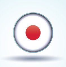 Flag of Japan vector illustration N10