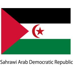 Flag of the country sahrawi arab democratic republic Vector i