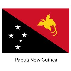 Flag of the country papua new guinea Vector illustration