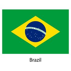 Flag of the country brazil Vector illustration