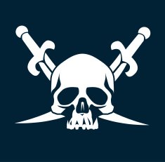 Pirate Flag N46