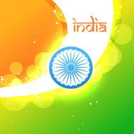 creative indian flag N17