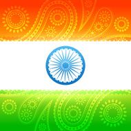 beautiful indian flag N6