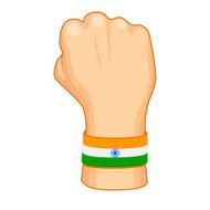 Hand painted in Indian flag color N3